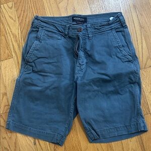American Eagle Outfitters Dark Blue Flat Front Shorts